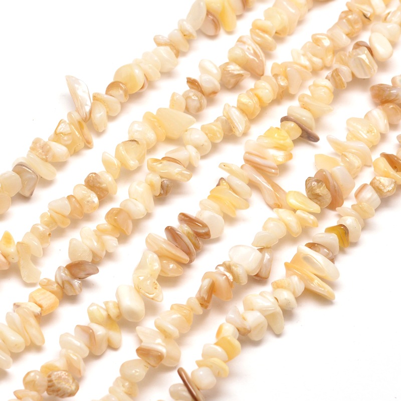 PandaHall Freshwater Shell Chip Bead Strands, Shell Shards, 5~8x5~8mm, Hole: 1mm; about 31.5" Freshwater Shell Chip Orange