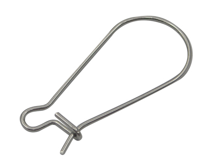 PandaHall 316 Stainless Steel Hoop Earrings Findings Kidney Ear Wires, about 12mm wide, 25mm long, 0.8mm thick Stainless Steel