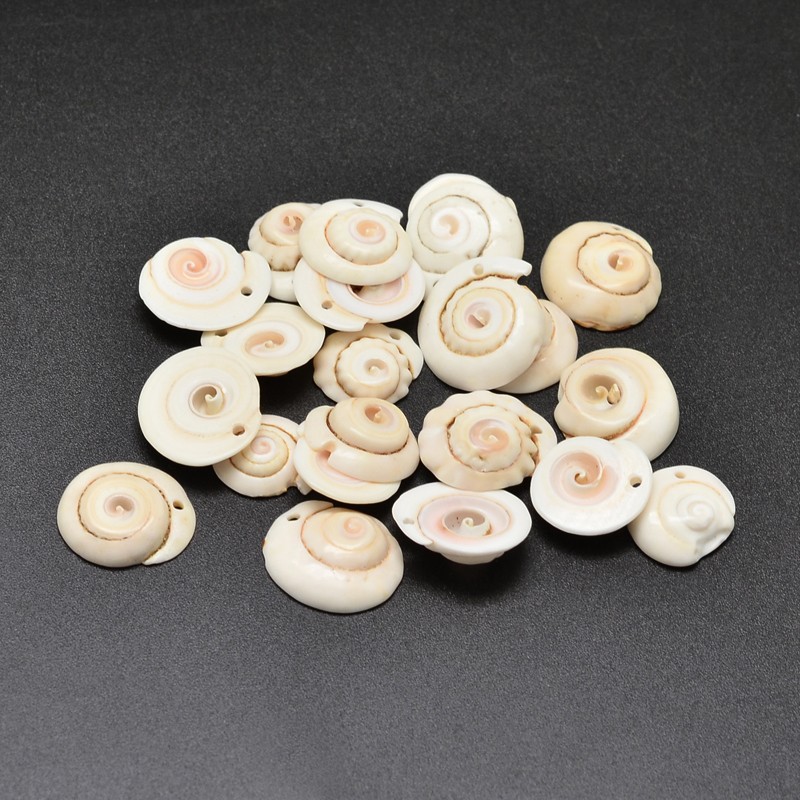 PandaHall Spiral Shell Beads, PeachPuff, 13~20x2~4mm, Hole: 1mm; about 980pcs/500g Spiral Shell Others Brown