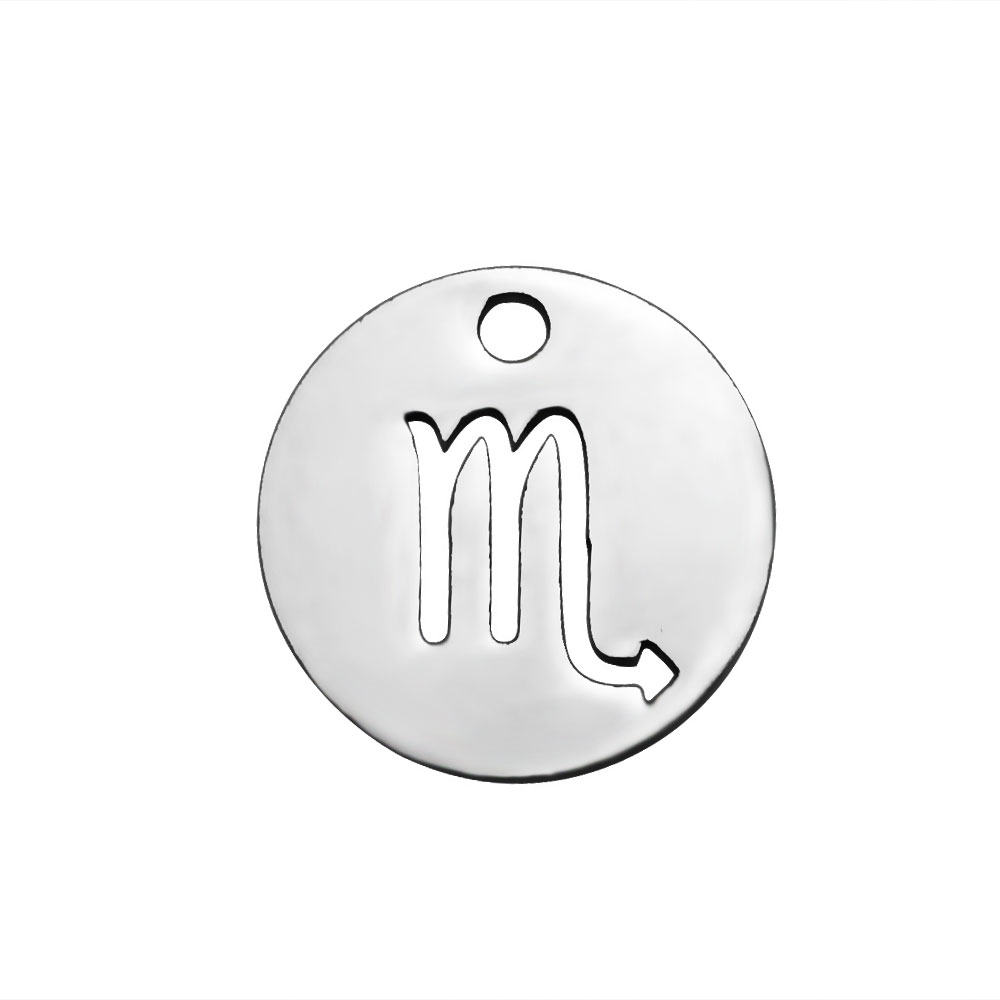 PandaHall 304 Stainless Steel Charms, Flat Round with Constellation/Zodiac Sign, Stainless Steel Color, 12x1mm, Hole: 1mm Stainless Steel...