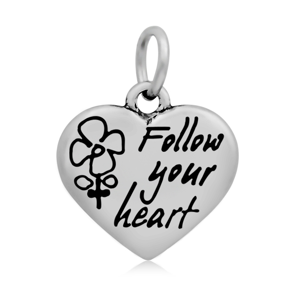 PandaHall 316 Stainless Steel Enamel Pendants, Heart with Word Follow Your Heart, Stainless Steel Color, 16.5x17x4mm, Hole: 5mm Stainless...
