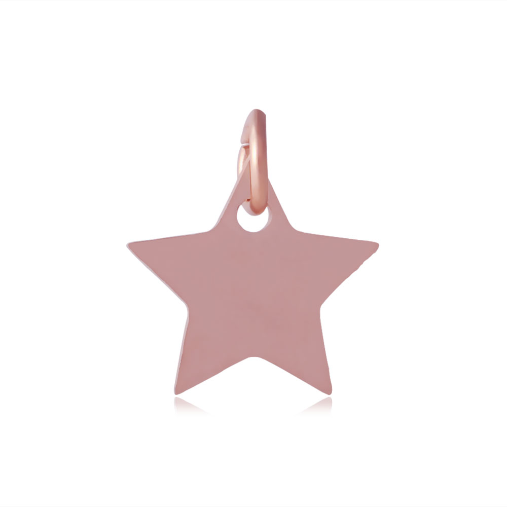 PandaHall 304 Stainless Steel Charms, Star, Rose Gold, 11x12x1.1mm, Hole: 4mm Stainless Steel Star