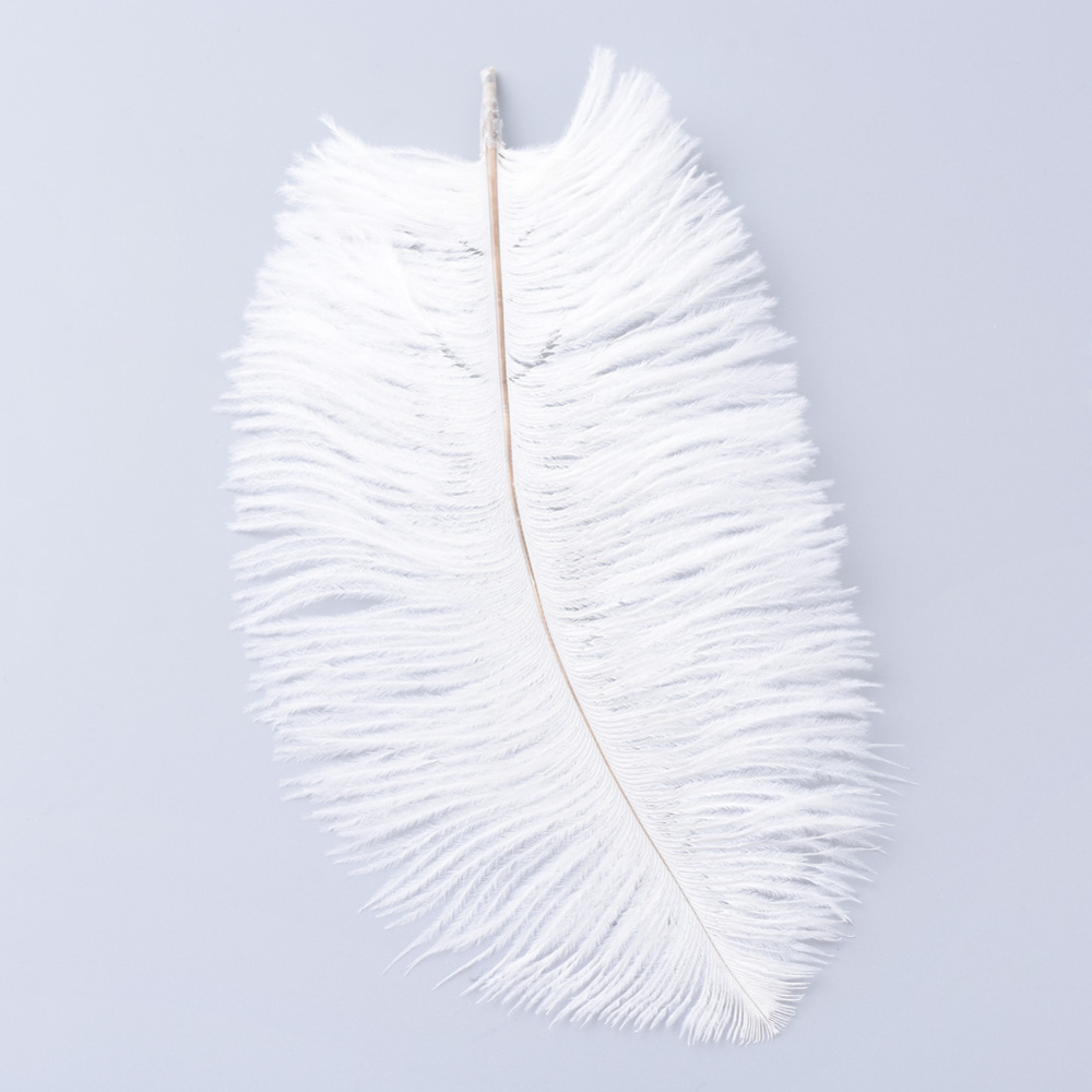 PandaHall Ostrich Feather Costume Accessories, Dyed, White, 15~20cm Feather Feather White