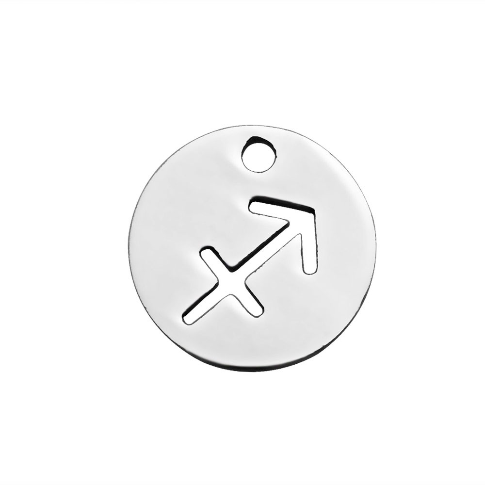 PandaHall 304 Stainless Steel Charms, Flat Round with Constellation/Zodiac Sign, Stainless Steel Color, 12x1mm, Hole: 1mm Stainless Steel...