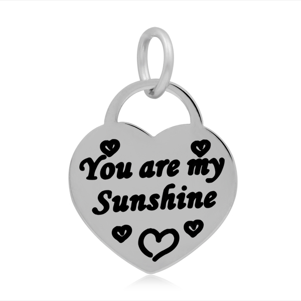 PandaHall 316 Stainless Steel Enamel Pendants, Heart with Word You Are My Sunshine, Stainless Steel Color, 19x17x2mm, Hole: 5mm Stainless...
