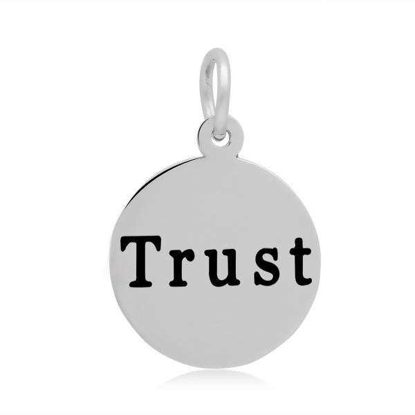 PandaHall 316 Stainless Steel Enamel Pendants, Flat Round with Word Trust, Stainless Steel Color, 19x16x1.5mm, Hole: 5mm Stainless...