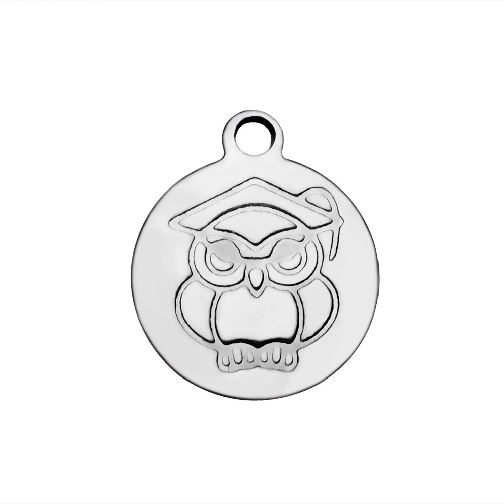 PandaHall 304 Stainless Steel Charms, Flat Round with Owl, Stainless Steel Color, 14x12x1.2mm, Hole: 1.5mm Stainless Steel Flat Round
