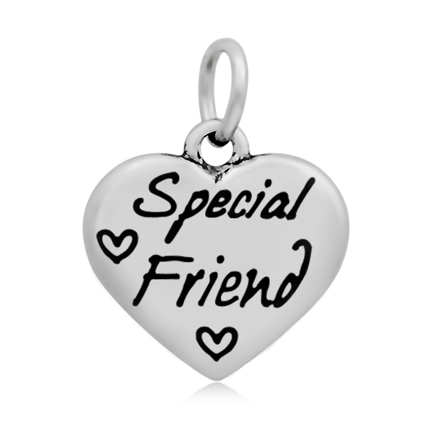 PandaHall 316 Stainless Steel Enamel Pendants, Heart with Word Special Friend, Stainless Steel Color, 16.5x17x3.5mm, Hole: 5mm Stainless...