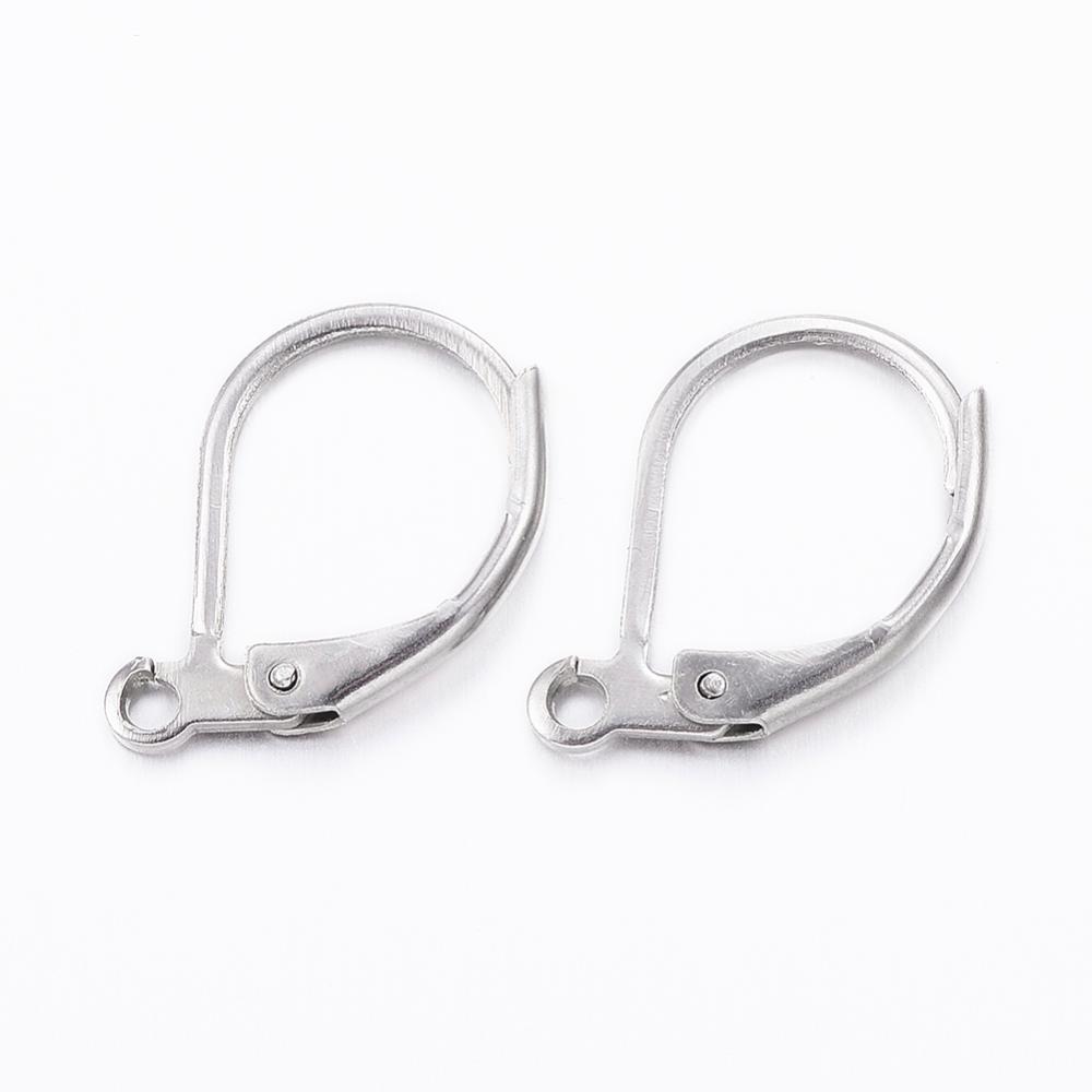 PandaHall 304 Stainless Steel Leverback Earring Findings, Stainless Steel Color, 10x15x2mm, Hole: 1mm Stainless Steel