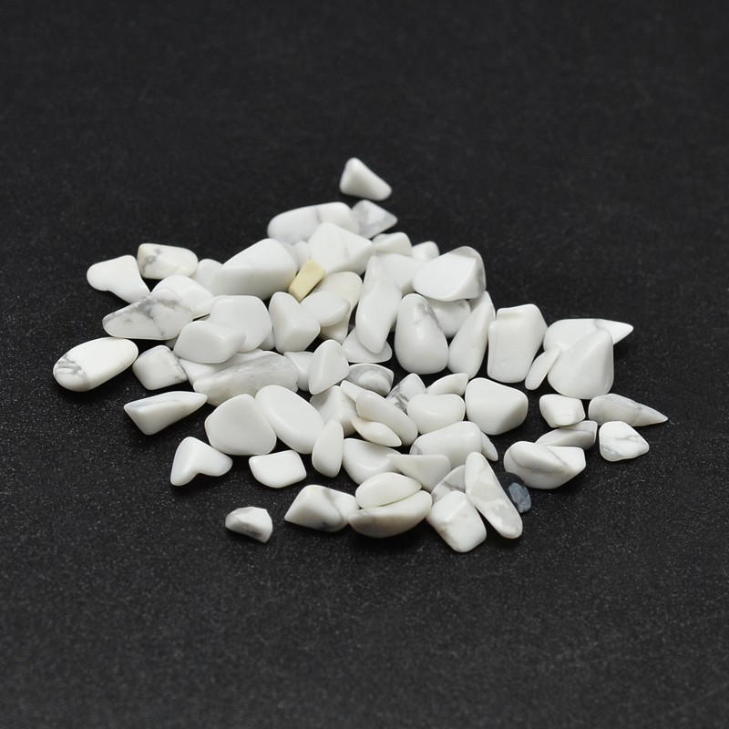 PandaHall Howlite Chip Beads, No Hole/Undrilled, 2~8x2~4mm; about 170pcs/10g Howlite Chip