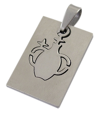 PandaHall Birthday Gift Zodiac Jewelry 201 Stainless Steel Carved Aquarius Pendants, Rectangle, about 35mm long, 18mm wide, 1.5mm thick...