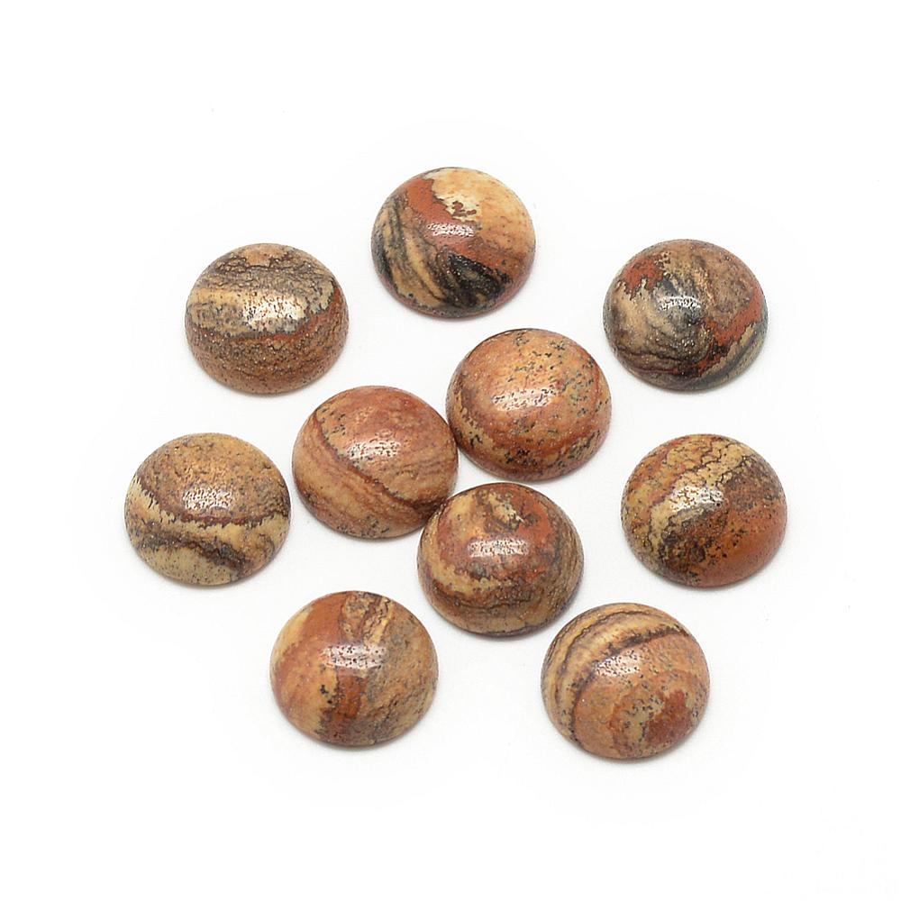 PandaHall Natural Picture Jasper Cabochons, Half Round/Dome, 8x4mm Picture Jasper Half Round