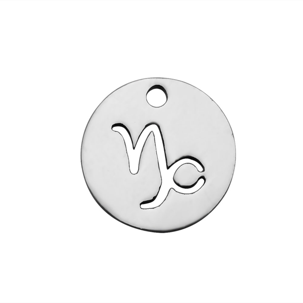 PandaHall 304 Stainless Steel Charms, Flat Round with Constellation/Zodiac Sign, Stainless Steel Color, 12x1mm, Hole: 1mm Stainless Steel...