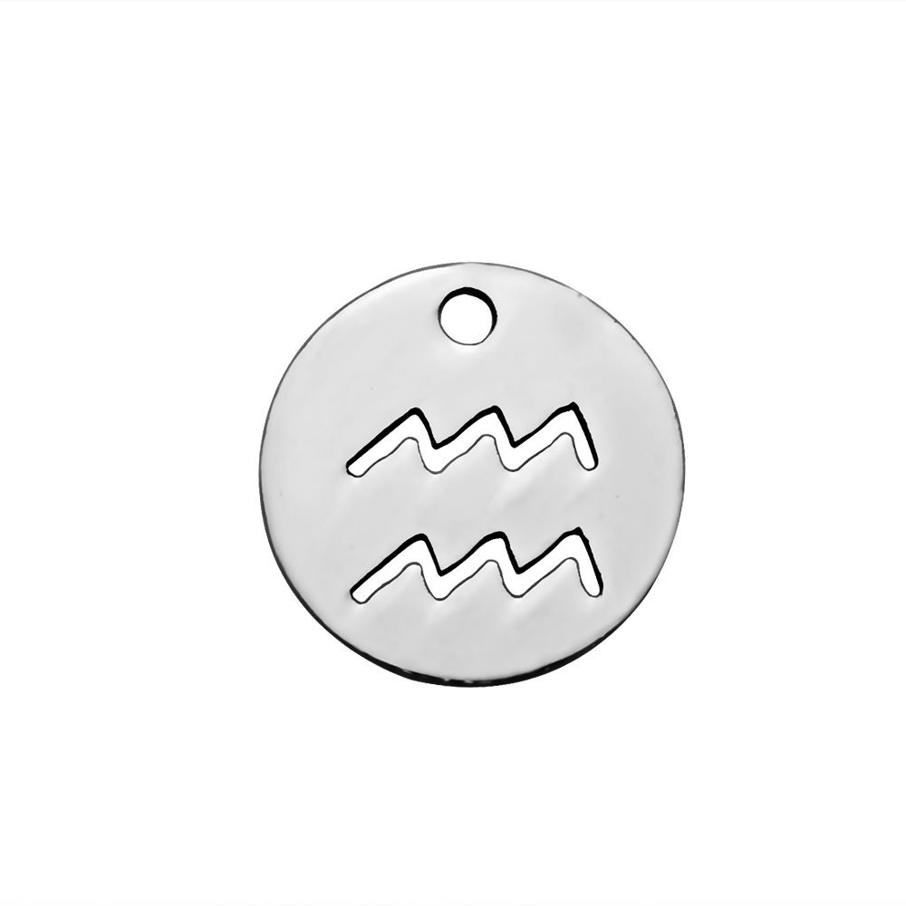 PandaHall 304 Stainless Steel Charms, Flat Round with Constellation/Zodiac Sign, Stainless Steel Color, 12x1mm, Hole: 1mm Stainless Steel...
