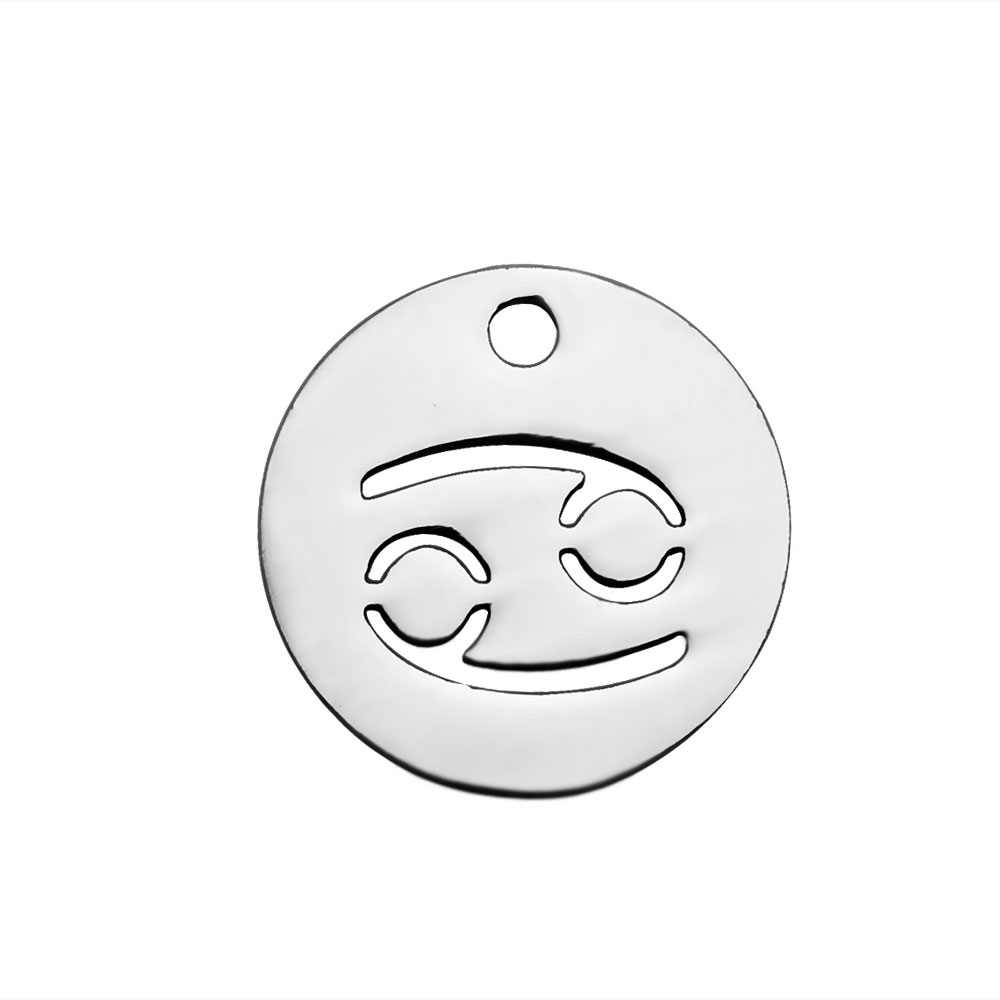 PandaHall 304 Stainless Steel Charms, Flat Round with Constellation/Zodiac Sign, Stainless Steel Color, 12x1mm, Hole: 1mm Stainless Steel...
