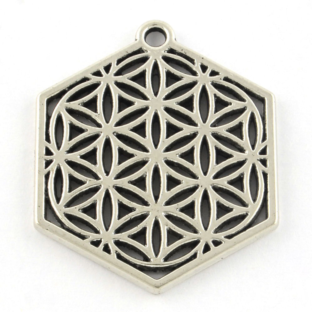 PandaHall Tibetan Style Alloy Pendants, Cadmium Free & Nickel Free & Lead Free, Flower of Life, Antique Silver, 30x25x2mm, Hole: 2mm; about...