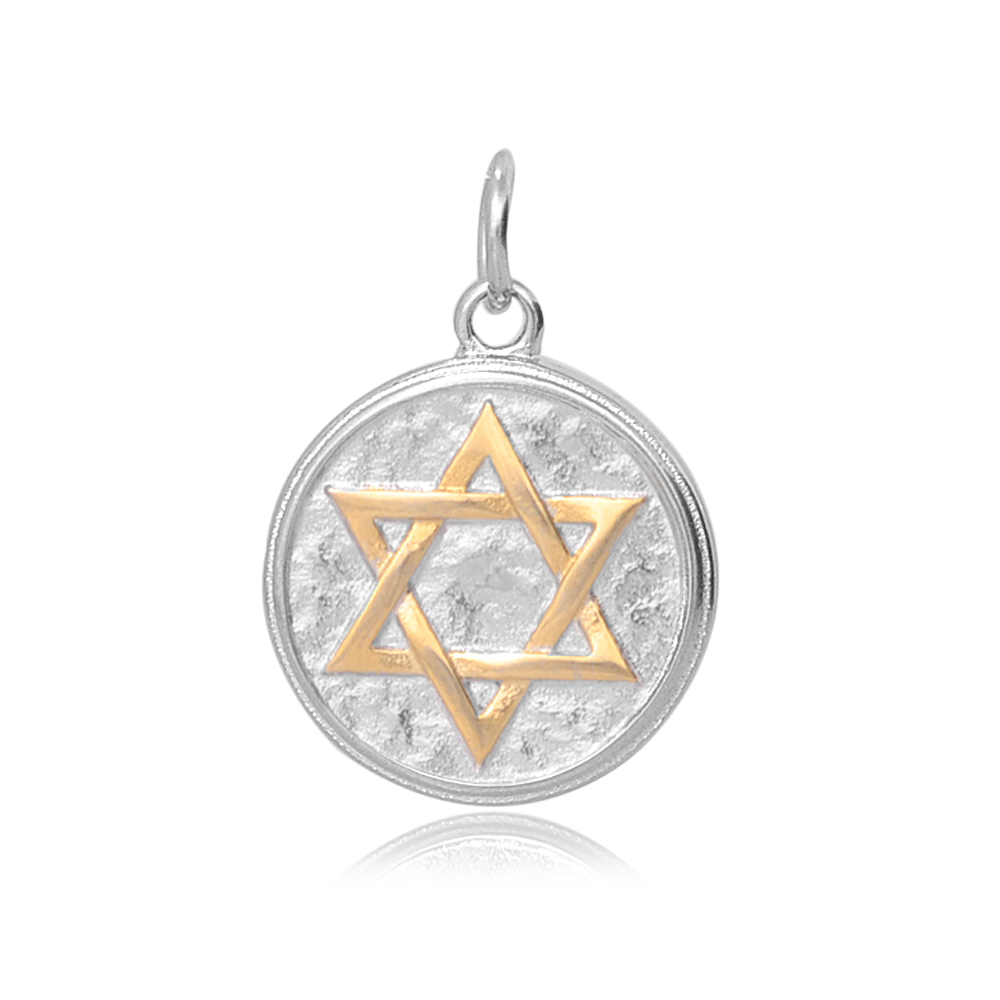 PandaHall 316 Stainless Steel Pendants, Flat Round, with Star of David, Golden & Stainless Steel Color, 23x19x2.5mm, Hole: 5mm Stainless...