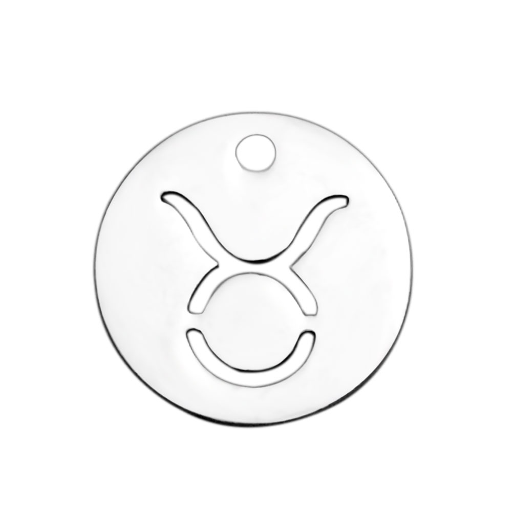 PandaHall 304 Stainless Steel Charms, Flat Round with Constellation/Zodiac Sign, Stainless Steel Color, 12x1mm, Hole: 1mm Stainless Steel...
